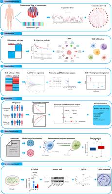 Molecular characterization of immunogenic cell death indicates prognosis and tumor microenvironment infiltration in osteosarcoma